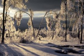 502_Ice_storm_in_Etna_NH.jpg thumbnail