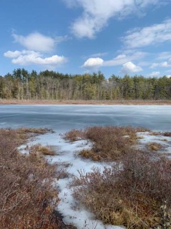 Mud Pond Photo: Bill-lee Abbott
