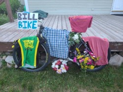 Memorial Photo: Stephen Fox