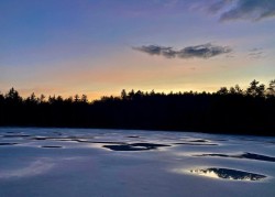 Frozen pond Photo: Karinne Heise
