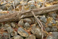 Log Photo: Tom Grett