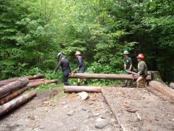 Blue Brook Shelter Photo: Caroleen “Mac” McKenzie-Dudley