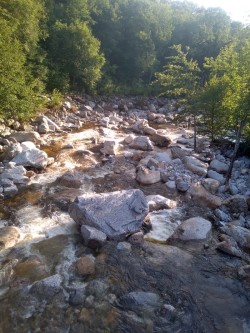 Green mountain forest Photo: CJ Frankiewicz