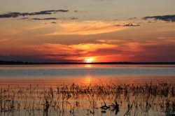 Blazing sun Photo: Leif Tillotson