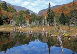 Pond by Smugglers Notch Photo: Sheri Larsen