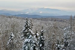 Walden hill Photo: Judy Sweet