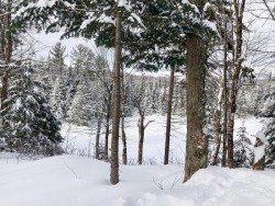 Snowy adirondacks Photo: Tom Grett
