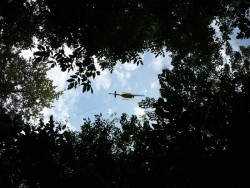 Blue Brook Shelter Photo: Caroleen “Mac” McKenzie-Dudley
