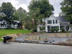 Roadside trench Photo: Emily S. Rowe