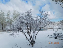 Spring Snowfall Photo: Sheryl M. Gebauer