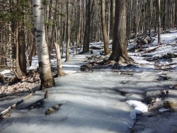 Icy trail Photo: Sheri Larsen