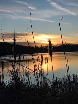 Peaceful Sunset Photo: Heather