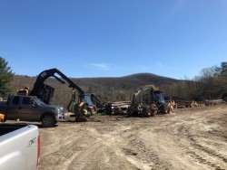 Harvesters and Forwarders Photo: Andrew Sheere