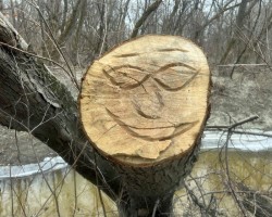 Happy stump Photo: Sheri Larsen