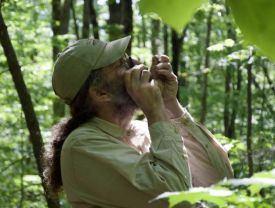 Aaron and Ant thumbnail