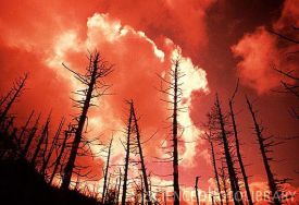 acid_rain.jpg thumbnail