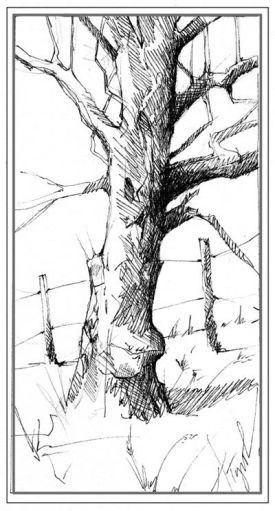 apples_web.jpg thumbnail