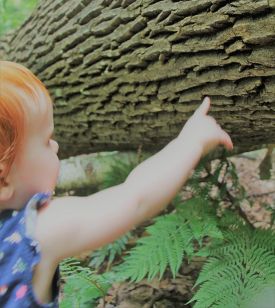 ash-filtered-web.jpg thumbnail