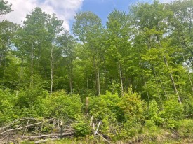 Soft edges thumbnail