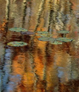 autumn2014_1000words.jpg thumbnail