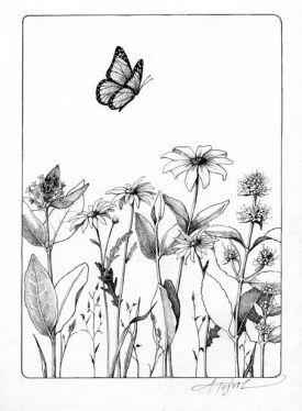 backyard_.jpg thumbnail