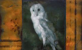 barn_owl.jpg thumbnail