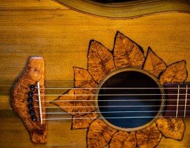 Bassrock guitars thumbnail