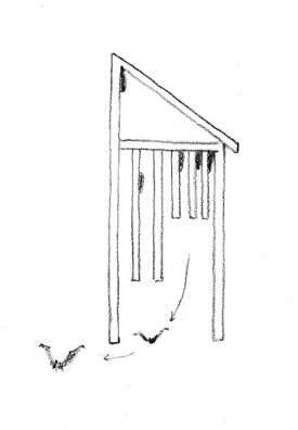 Bat_house_cut-away.jpg thumbnail