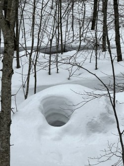 Snow formation Photo: Martha Battle