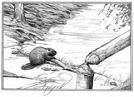 Beaver_castoreum_w.jpg thumbnail