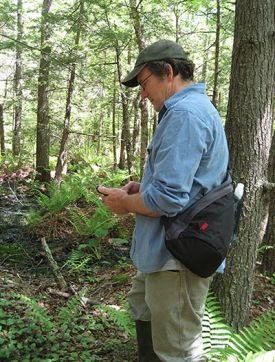 big_tree_head.jpg thumbnail