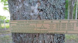 Biltmore_Stick_1.jpg thumbnail