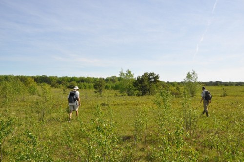 Biologist Snake Search