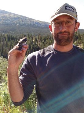 birds_climate_ups.jpg thumbnail