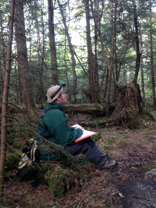 Mountain birdwatcher