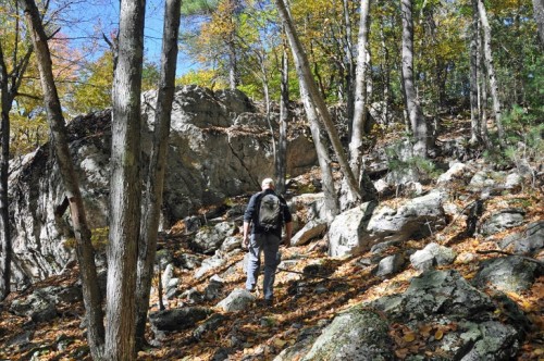 Black Racer Territory