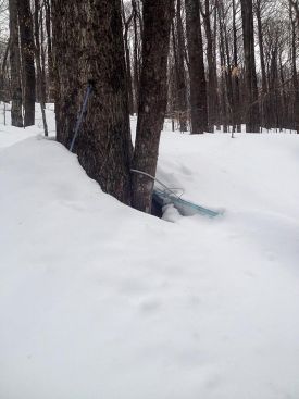 blog_pic_4.jpg thumbnail