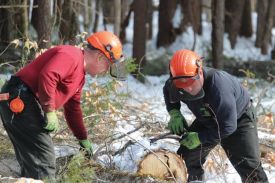 Bovill Brothers thumbnail