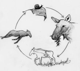 Brainworm.jpg thumbnail