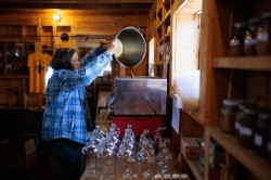 Sugarwork Photo: Ben DeFlorio