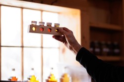 Maple colors Photo: Ben DeFlorio