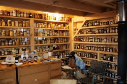 Maple syrup collection Photo: Ben DeFlorio