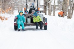 Sugar friends Photo: Ben DeFlorio