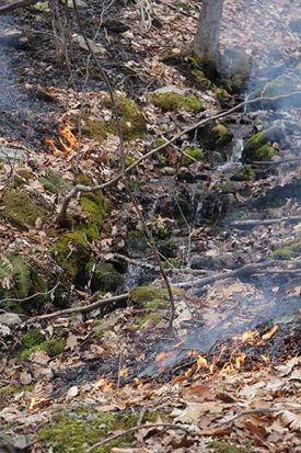 burn_lead_pic_web.jpg thumbnail