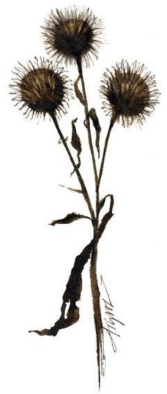 burs_web.jpg thumbnail