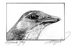 caching_web.jpg thumbnail