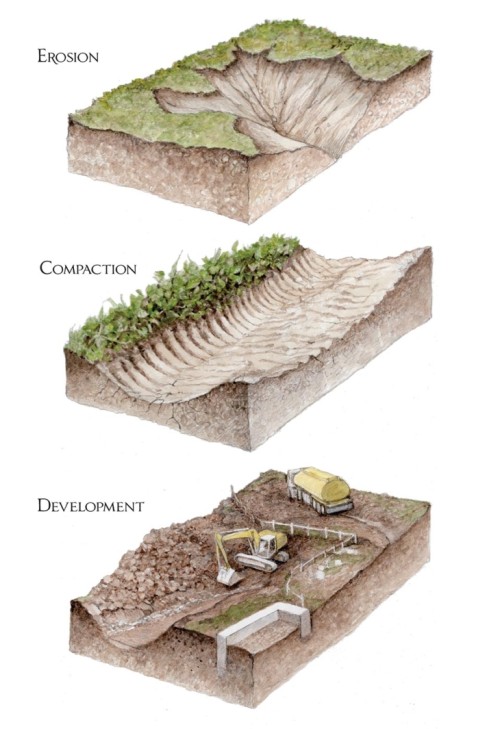 Carbon soil loss