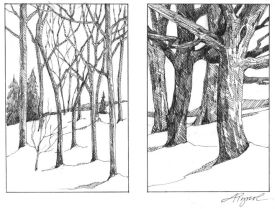 carbon_storage.jpg thumbnail