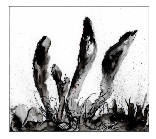 Caterpillar club fungi