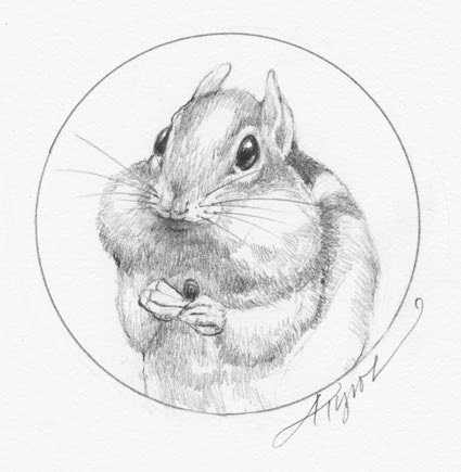Chipmunk_cheeks.jpg